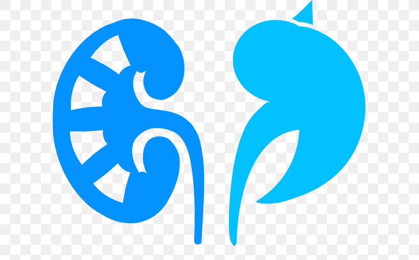 Nephrology Kidney Disease Contrast-induced Nephropathy Dialysis, PNG, 677x510px, Nephrology, Acute Kidney Failure, Area, Azure, Blue Download Free