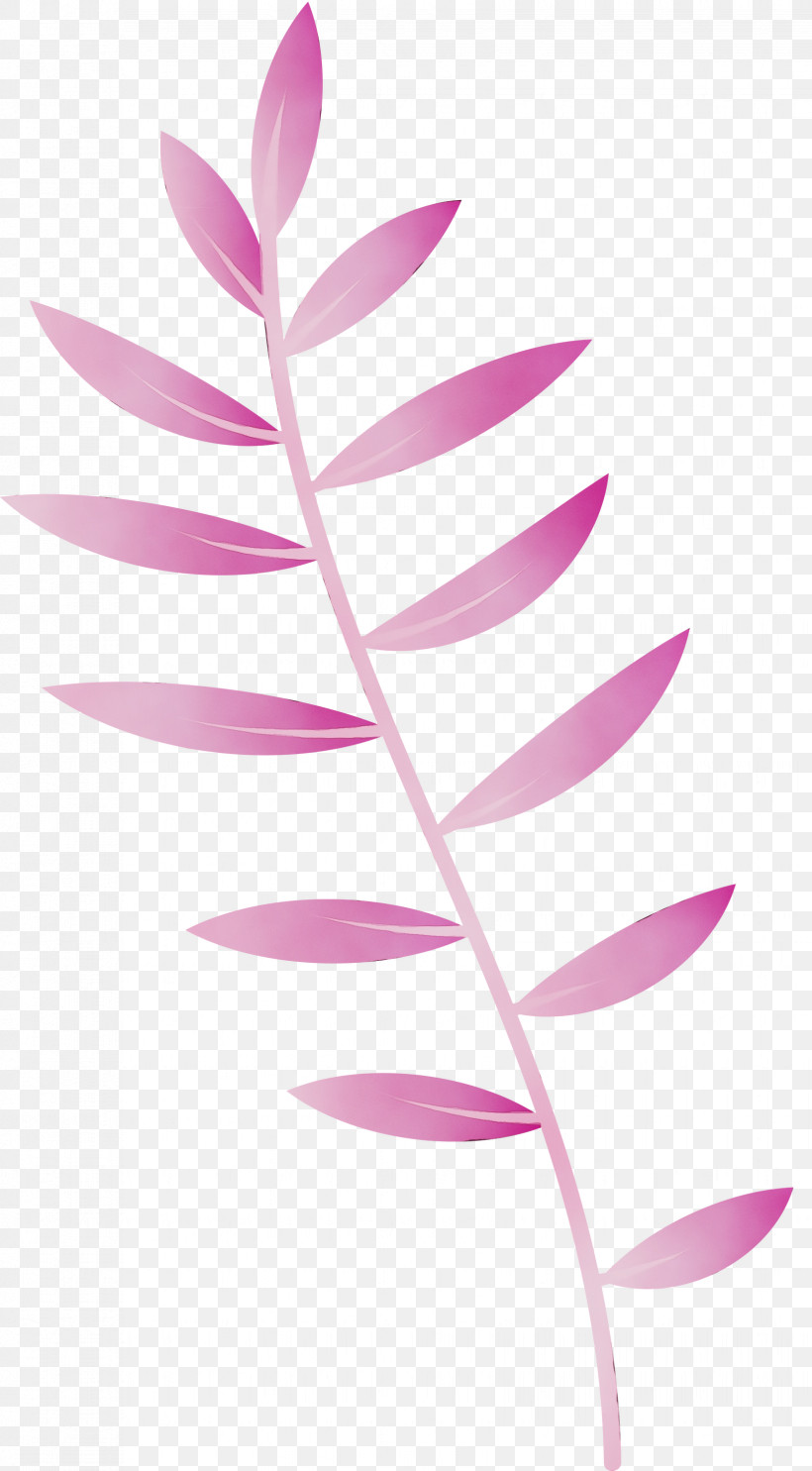 Plant Stem Petal Leaf Pink M Line, PNG, 1655x2999px, Leaf Cartoon, Biology, Leaf, Leaf Abstract, Leaf Clipart Download Free