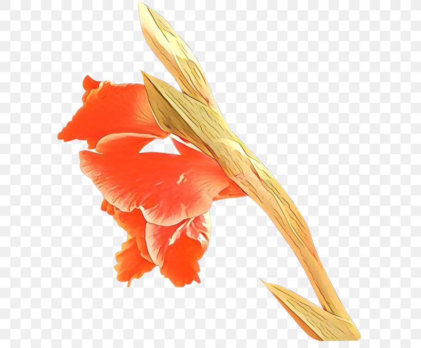 Orange, PNG, 650x677px, Cartoon, Feather, Flower, Orange, Petal Download Free