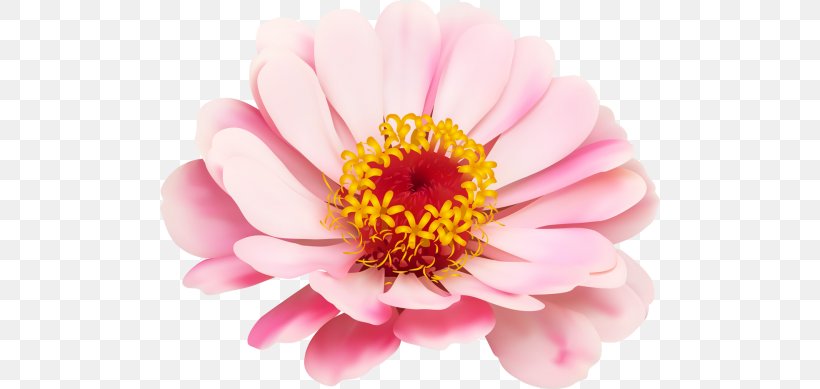 Royalty-free Drawing, PNG, 500x389px, Royaltyfree, Annual Plant, Art, Blossom, Chrysanths Download Free