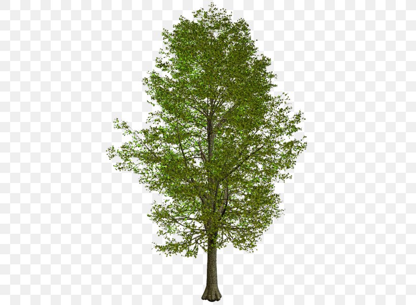 Villa Clip Art House Image, PNG, 425x600px, Villa, American Sycamore, Branch, Evergreen, House Download Free