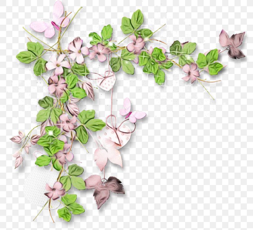 Cherry Blossom Background, PNG, 800x746px, Flower, Arctostaphylos, Blossom, Branch, Cherry Blossom Download Free