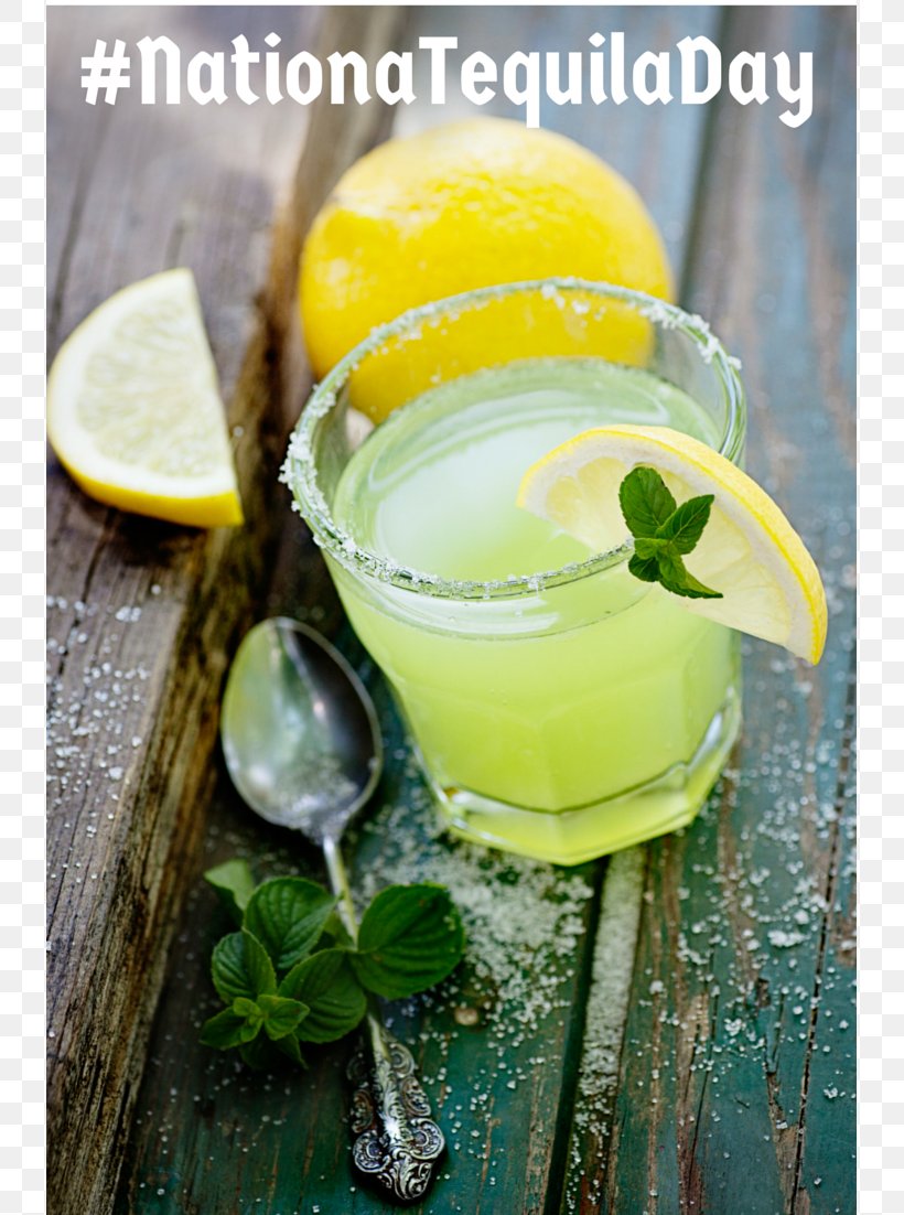 Cocktail Margarita Mojito Tequila Drink, PNG, 735x1102px, Cocktail, Alcoholic Drink, Cocktail Garnish, Drink, Harvey Wallbanger Download Free