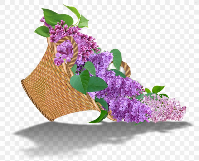 Cut Flowers Floral Design Floristry, PNG, 1280x1035px, Flower, Com, Cut Flowers, Flora, Floral Design Download Free