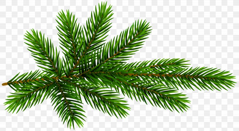 Fir Pine Clip Art, PNG, 8000x4406px, Fir, Branch, Christmas, Christmas Ornament, Christmas Tree Download Free