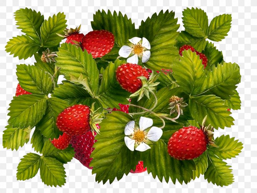Strawberry Juice Milkshake Fruit Image, PNG, 1024x768px, Strawberry, Berries, Berry, Food, Fruit Download Free