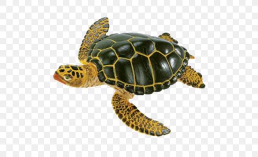 Kemp's Ridley Sea Turtle Green Sea Turtle Safari Ltd, PNG, 500x500px, Turtle, Animal, Animal Figurine, Box Turtle, Chelydridae Download Free