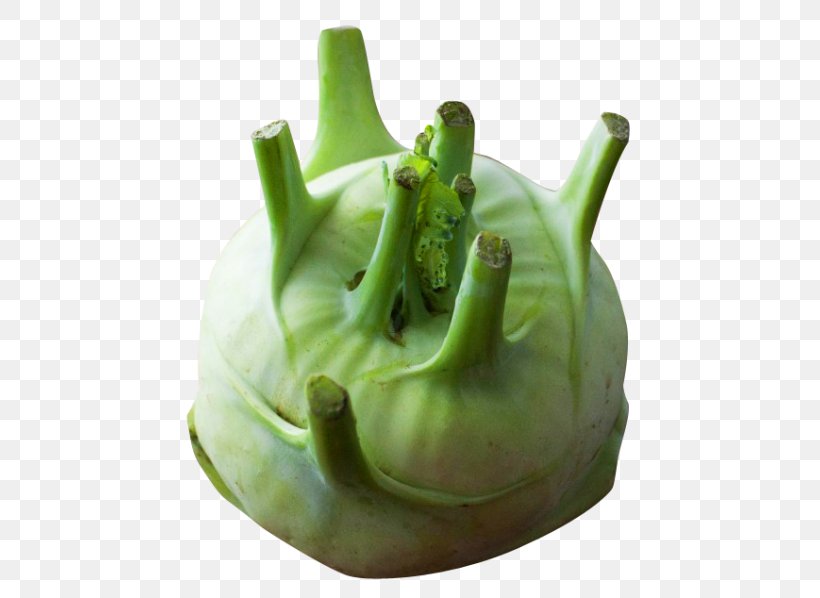 Kohlrabi Vegetable Turnip Rutabaga, PNG, 500x598px, Kohlrabi, Bell Pepper, Bell Peppers And Chili Peppers, Cabbage, Cooking Download Free