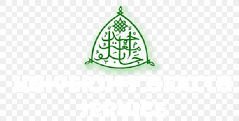 Logo Ahmadu Bello University Brand Green, PNG, 2595x1322px, Logo, Ahmadu Bello University, Brand, Green, Leaf Download Free