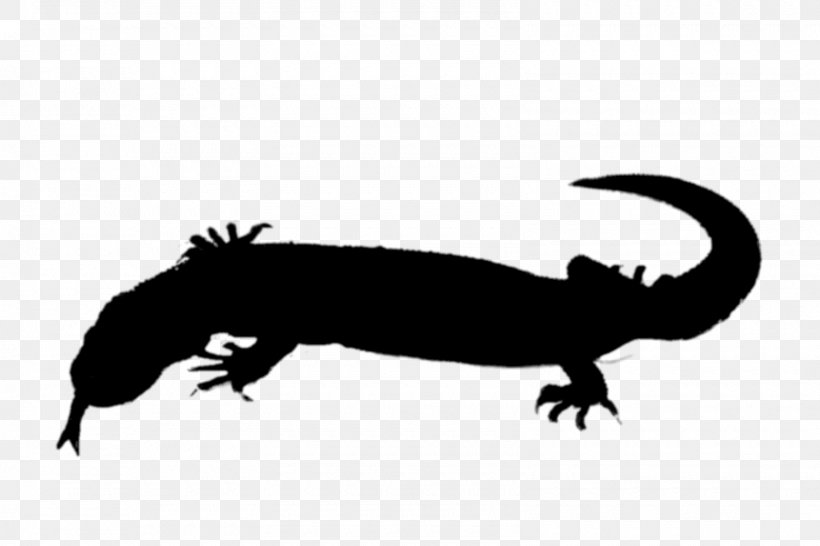 Gecko Amphibians Beak Clip Art Fauna, PNG, 1600x1067px, Gecko, Amphibian, Amphibians, Animal, Beak Download Free