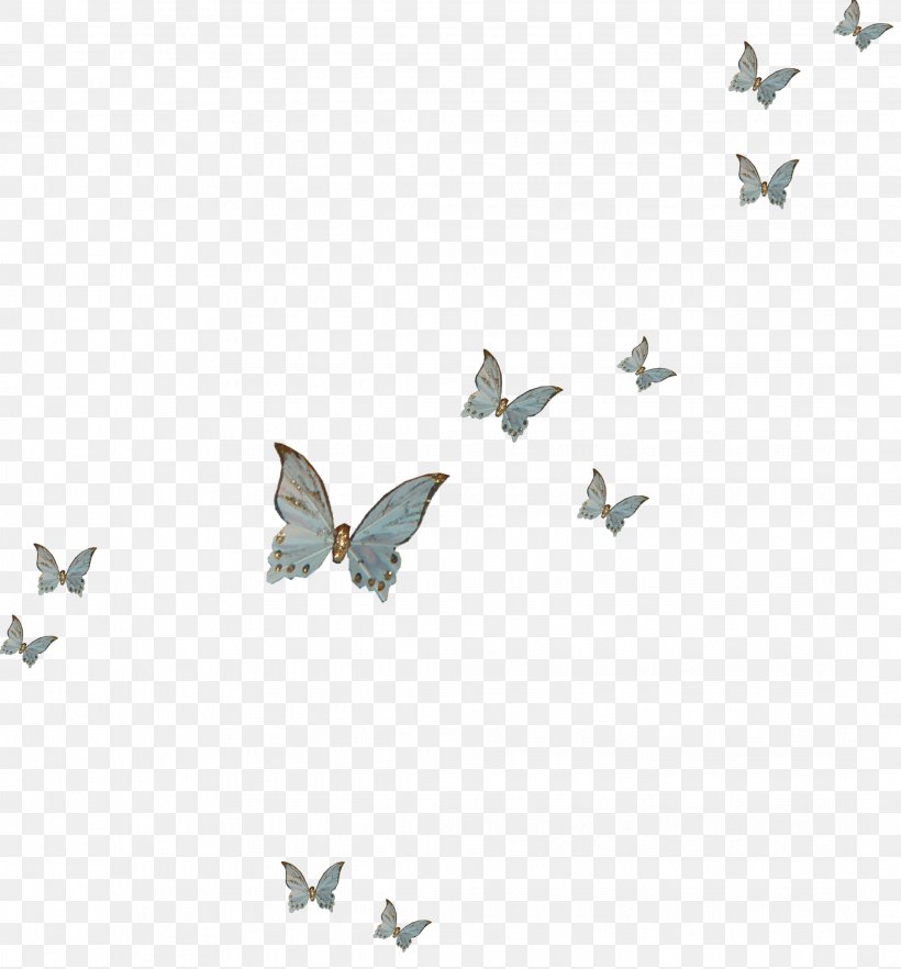 Graphics Desktop Wallpaper Illustration Pattern Font, PNG, 2138x2302px, Computer, Butterfly, Insect, Invertebrate, Moths And Butterflies Download Free