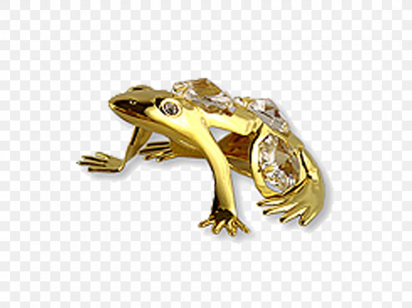 True Frog Reptile Gold Yellow, PNG, 1892x1416px, True Frog, Amphibian, Frog, Gold, Jewellery Download Free