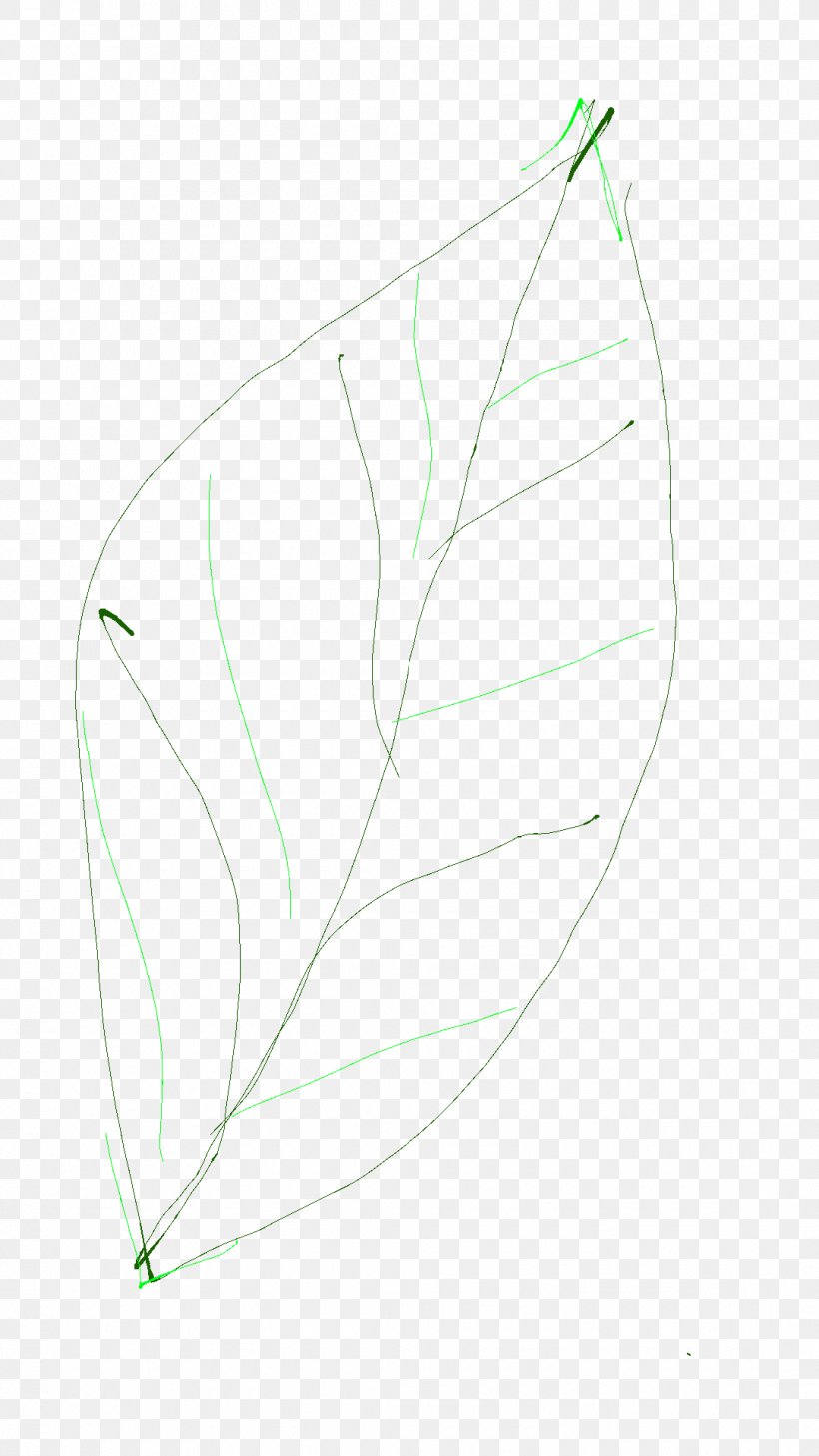 Product Design Line Leaf Angle, PNG, 1080x1920px, Leaf, Plant, Wing Download Free