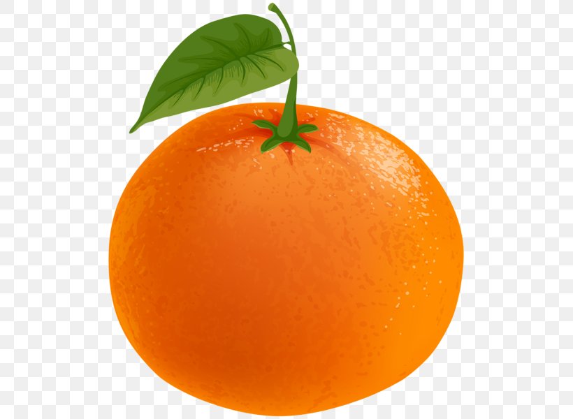 Clementine Mandarin Orange Tangerine Blood Orange Clip Art, PNG, 515x600px, Clementine, Blood Orange, Citrus, Diet Food, Food Download Free
