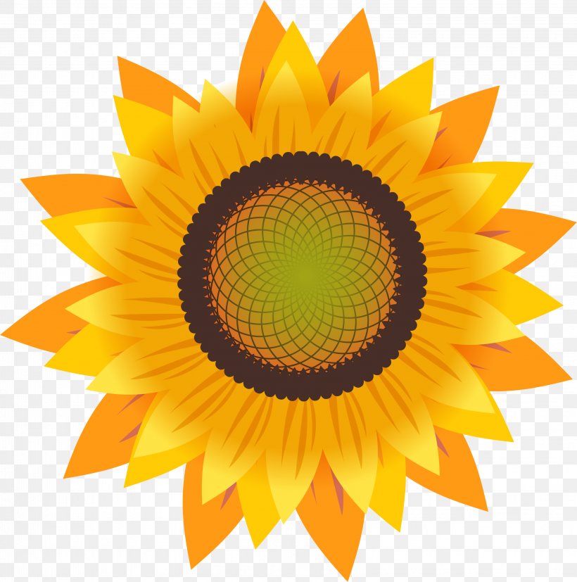 Common Sunflower Drawing Sunflower Seed, PNG, 3208x3236px, Common Sunflower, Animation, Close Up, Daisy Family, Drawing Download Free