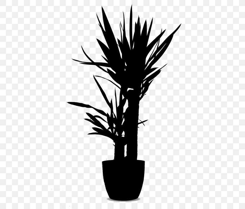 Palm Trees Flower Plant Stem Grasses Silhouette, PNG, 500x700px, Palm Trees, Arecales, Blackandwhite, Botany, Flower Download Free