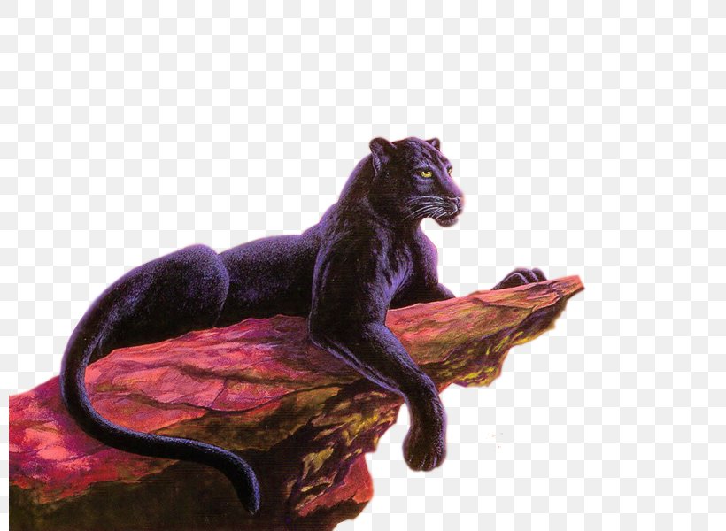 Panther Jaguar Cat Felidae Cougar, PNG, 800x600px, Panther, Big Cat, Cat, Cat Like Mammal, Cougar Download Free