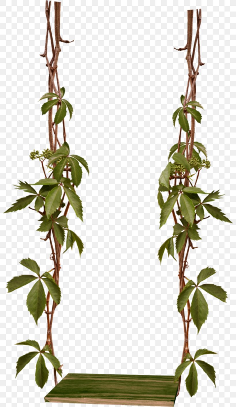 Squirrel Clip Art Image Swing, PNG, 800x1413px, Squirrel, Flower, Flowering Plant, Ivy, Ivy Family Download Free