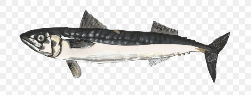 Cartoon Shark, PNG, 1024x391px, Sardine, Animal, Bonyfish, Fish, Lake Sturgeon Download Free
