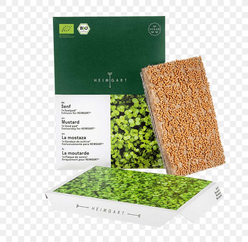 Garden Cress Seed Microgreen Vitamin Flavor, PNG, 800x800px, 2017, Garden Cress, Aroma, Flavor, Grass Download Free