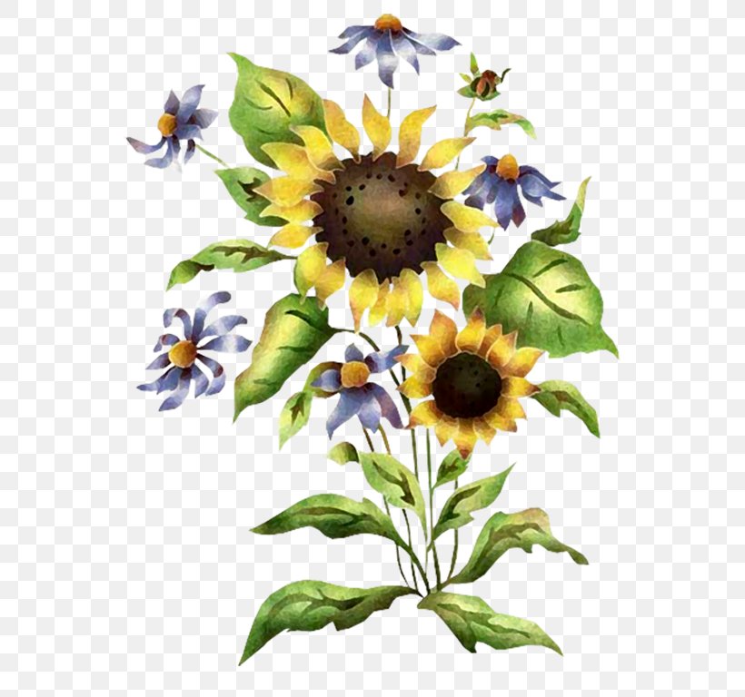 Stencil Common Sunflower Painting, PNG, 593x768px, Stencil, Common Sunflower, Cut Flowers, Daisy Family, Floral Design Download Free