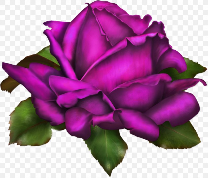 Rose Drawing Flower Clip Art, PNG, 1387x1185px, Rose, Color, Cut Flowers, Drawing, Floribunda Download Free