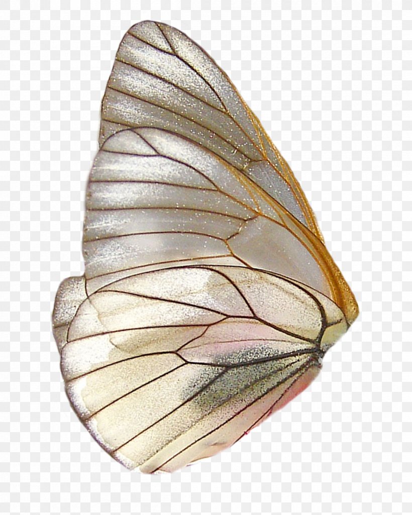 Butterfly Wing, PNG, 2400x3000px, Butterfly, Insect Wing, Invertebrate, Moth, Moths And Butterflies Download Free