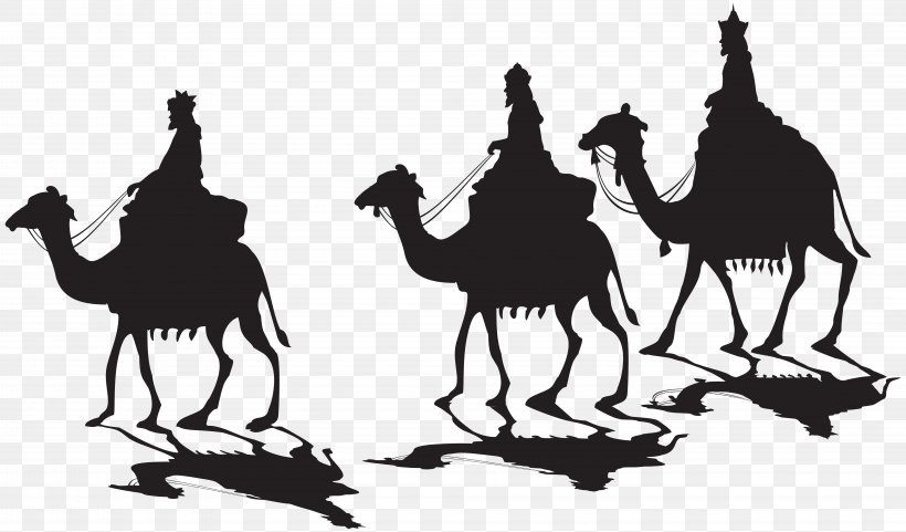 Clip Art Vector Graphics Image Silhouette, PNG, 8000x4700px, Silhouette, Arabian Camel, Black And White, Camel, Camel Like Mammal Download Free