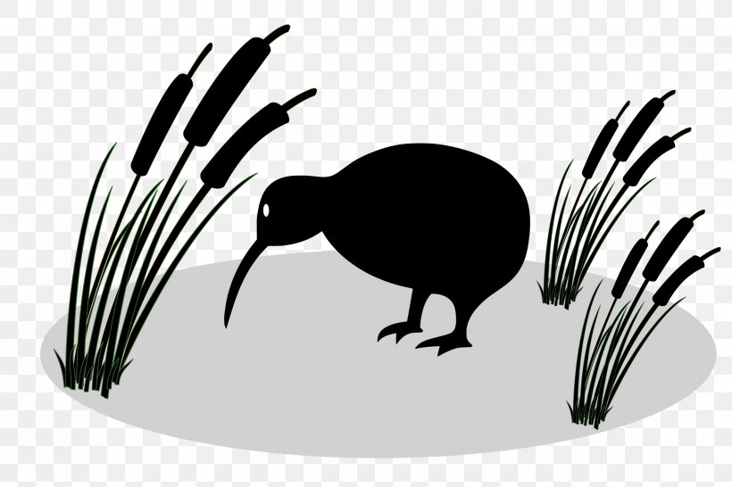 New Zealand Bird Silhouette Clip Art, PNG, 2400x1600px, New Zealand, Beak, Bird, Black And White, Chicken Download Free