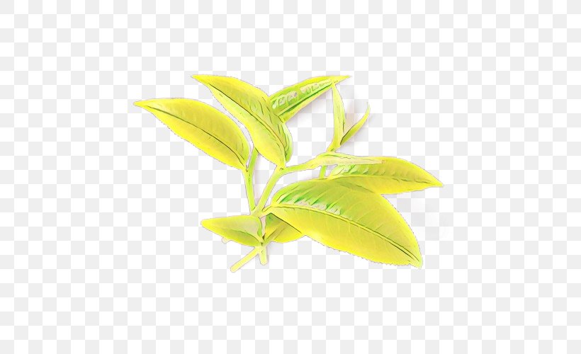 Stock Photography Royalty-free Leaf Image, PNG, 500x500px, Stock Photography, Branch, Discounting, Flower, Flowering Plant Download Free