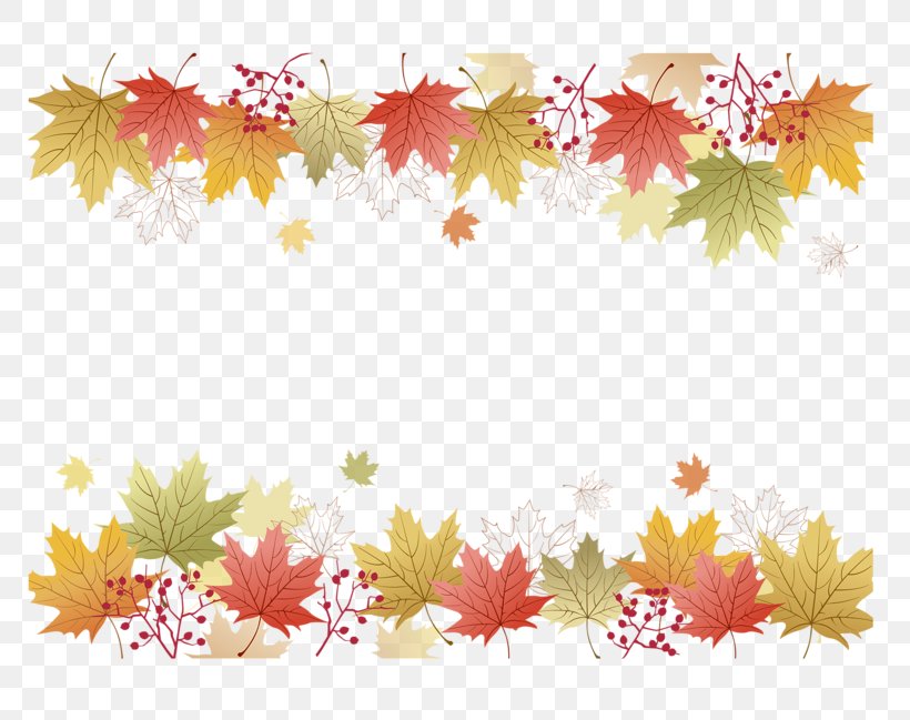 Vector Graphics Illustration Autumn Stock Photography Image, PNG, 800x649px, Autumn, Autumn Leaf Color, Branch, Drawing, Flora Download Free