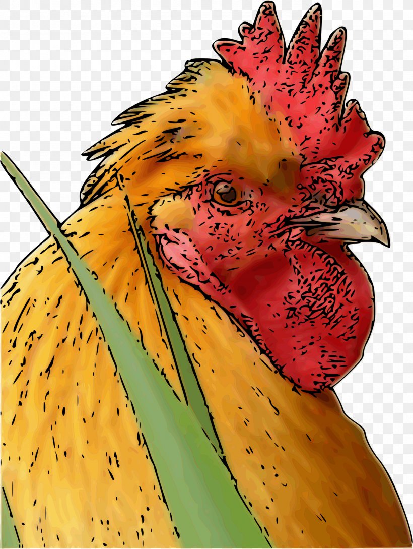 Rooster Chicken Poultry Farming Bird Phasianidae, PNG, 1382x1836px, Rooster, Beak, Bird, Chicken, Chinese Zodiac Download Free