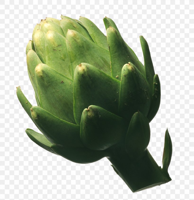 Artichoke Cynara Vegetable Plant Food, PNG, 1211x1248px, Artichoke, Bud, Cynara, Flower, Food Download Free