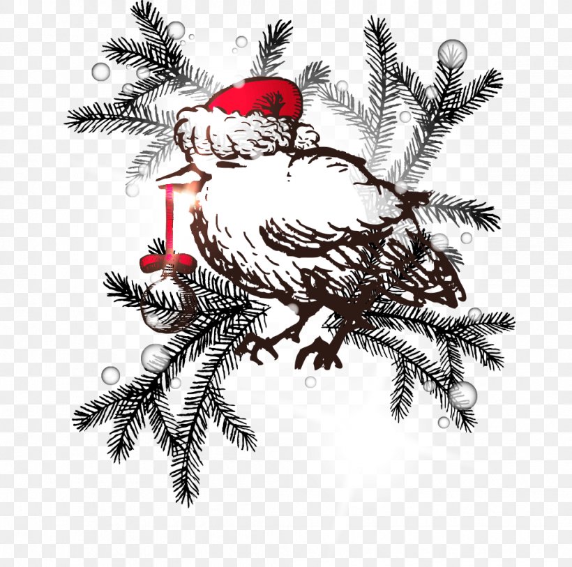 Bird Christmas Drawing, PNG, 1015x1007px, Bird, Art, Ball, Beak, Branch Download Free