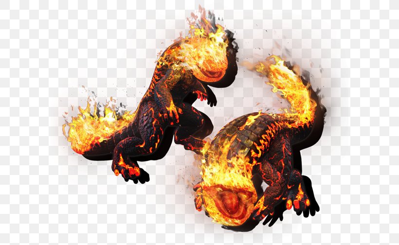 Dragon's Dogma: Dark Arisen Dragon's Dogma Online Salamanders In Folklore, PNG, 612x504px, Dragon, Capcom, Fire, Fire Salamander, Flame Download Free