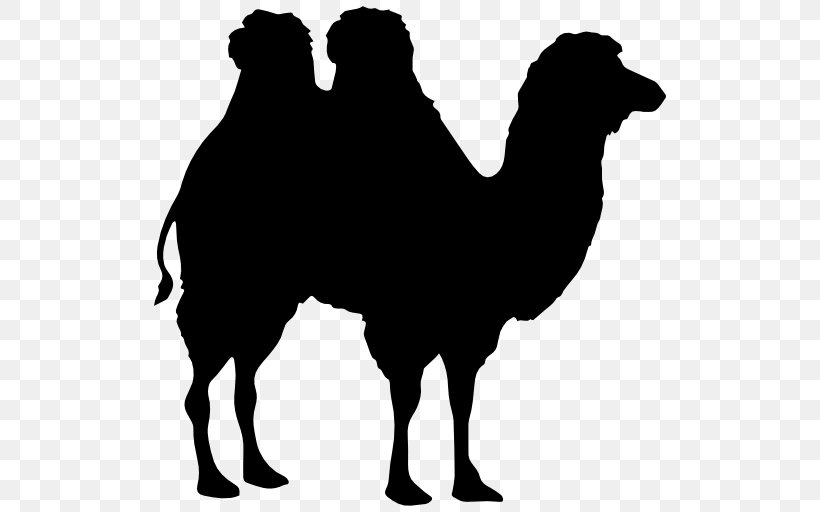 Dromedary Bactrian Camel Horse Clip Art, PNG, 512x512px, Dromedary, Arabian Camel, Bactrian Camel, Black And White, Camel Download Free