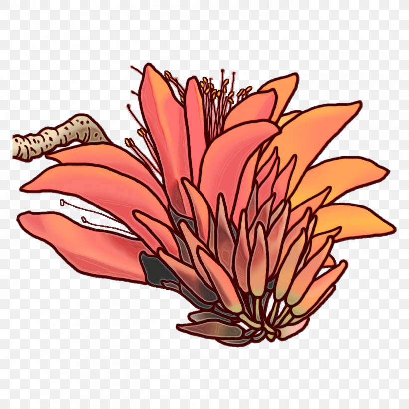 Floral Design, PNG, 1400x1400px, Watercolor, Begonia, Begonia Boliviensis, Bridal Shower, Chrysanthemum Download Free