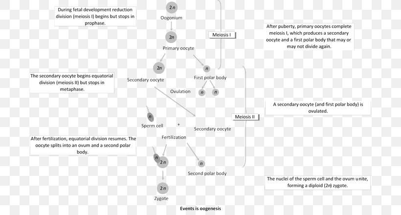 Line Angle Diagram, PNG, 698x440px, Diagram, Area, Black And White, Text, White Download Free