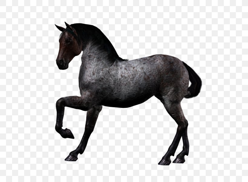 Mustang American Quarter Horse Stallion Clip Art, PNG, 588x600px, Mustang, American Quarter Horse, Black, Bridle, Colt Download Free