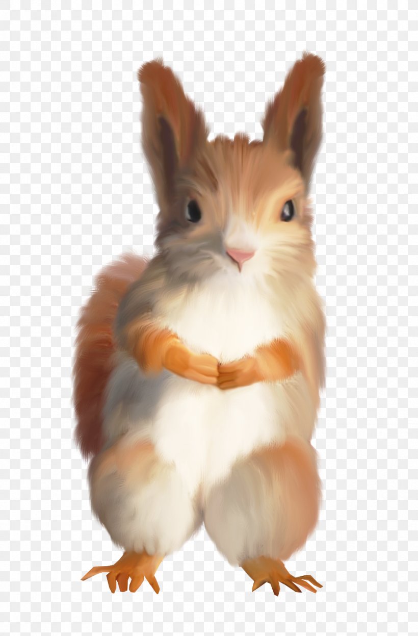 Tree Squirrels Domestic Rabbit Hare Clip Art, PNG, 952x1448px, Tree Squirrels, Animal, Domestic Rabbit, Fauna, Hare Download Free