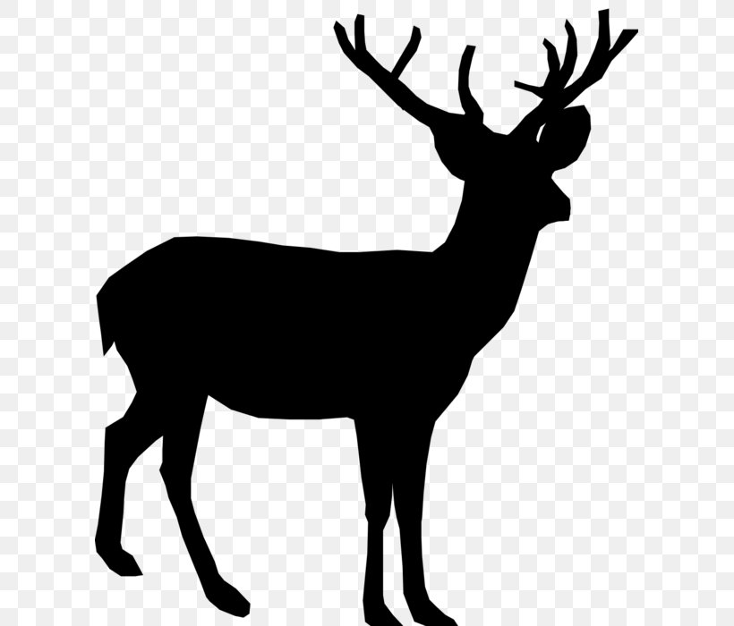 White-tailed Deer Reindeer Moose Clip Art, PNG, 607x700px, Deer, Antler, Black And White, Blacktailed Deer, Deer Hunting Download Free