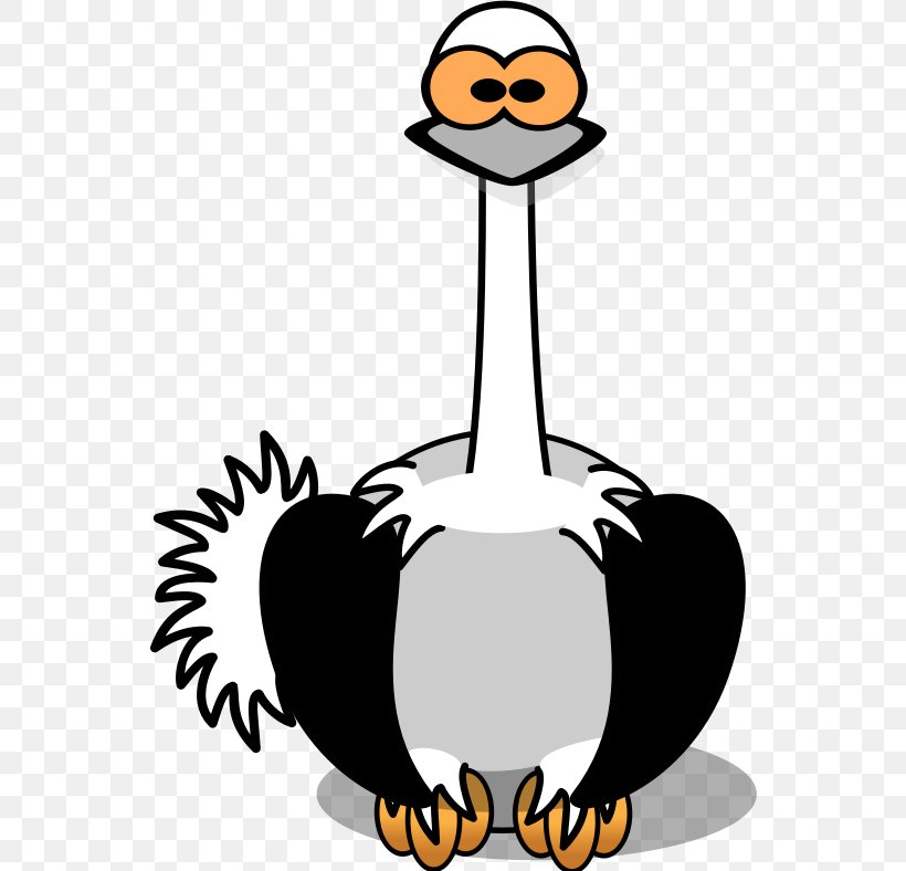 Common Ostrich Bird Cartoon Clip Art, PNG, 550x788px, Common Ostrich, Animation, Artwork, Beak, Bird Download Free