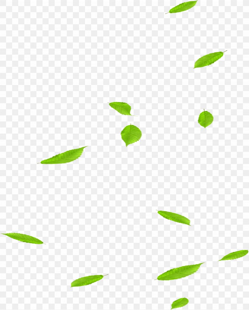Download, PNG, 5819x7251px, Leaf, Area, Artworks, Grass, Green Download Free