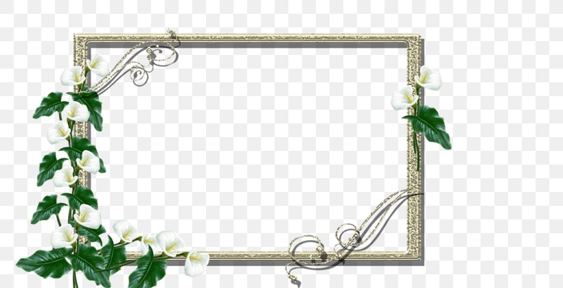 Picture Frames Photography GIMP, PNG, 800x420px, 2016, Picture Frames, Blog, Body Jewellery, Body Jewelry Download Free