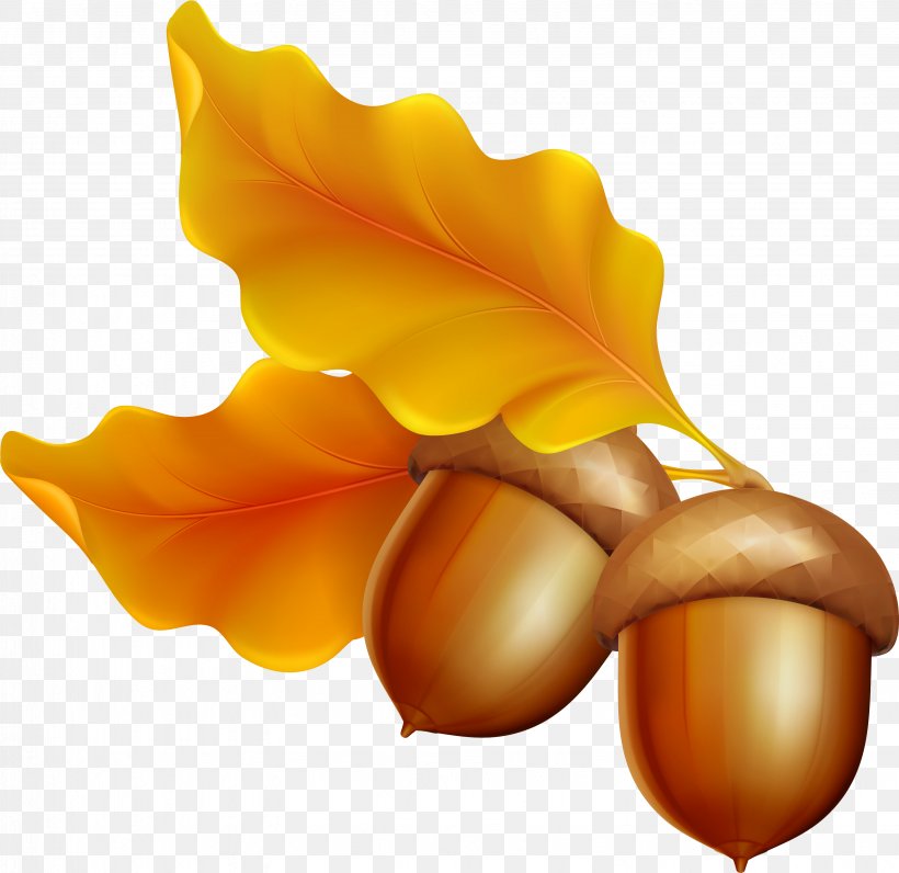 Clip Art Illustration Image Stock Photography, PNG, 3287x3192px, Stock Photography, Acorn, Autumn, Drawing, Flower Download Free