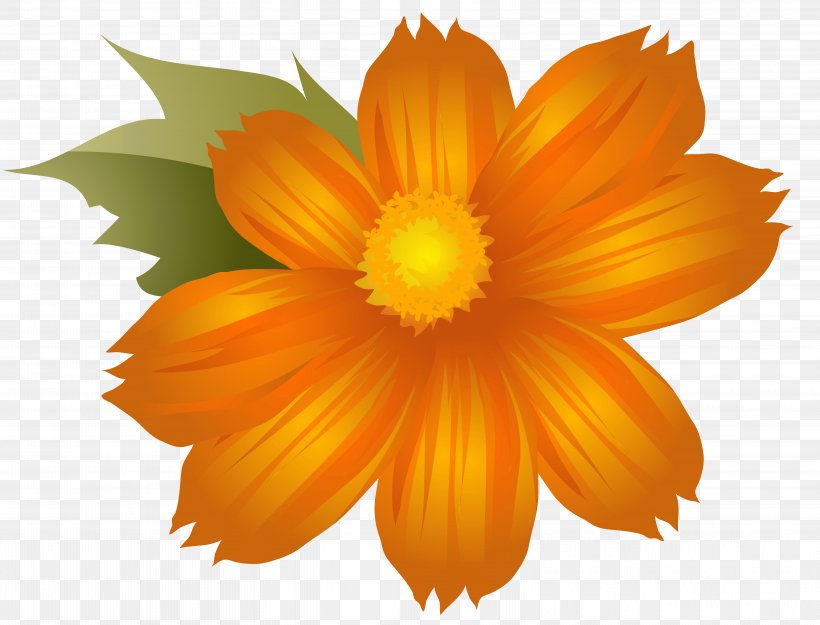 Flower Orange Clip Art, PNG, 6284x4790px, Flower, Annual Plant, Calendula, Chrysanths, Daisy Family Download Free