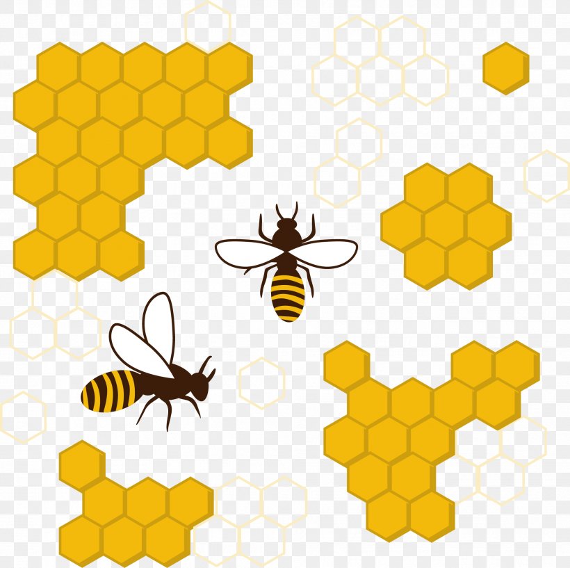 Honey Bee Honeycomb Insect Clip Art, PNG, 1966x1961px, Honey Bee, Area, Bee, Beehive, Drawing Download Free