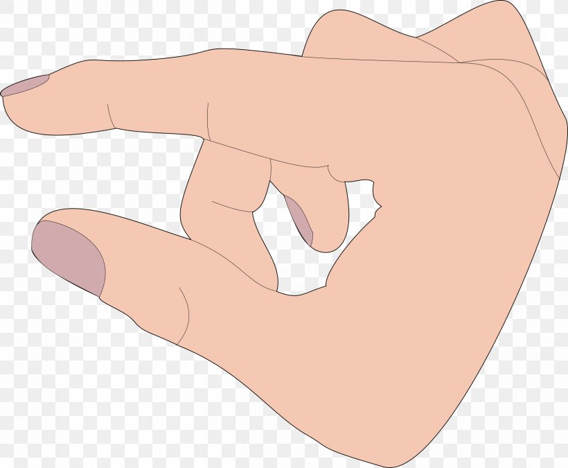 Index Finger Arm Thumb Hand, PNG, 2400x1977px, Watercolor, Cartoon, Flower, Frame, Heart Download Free