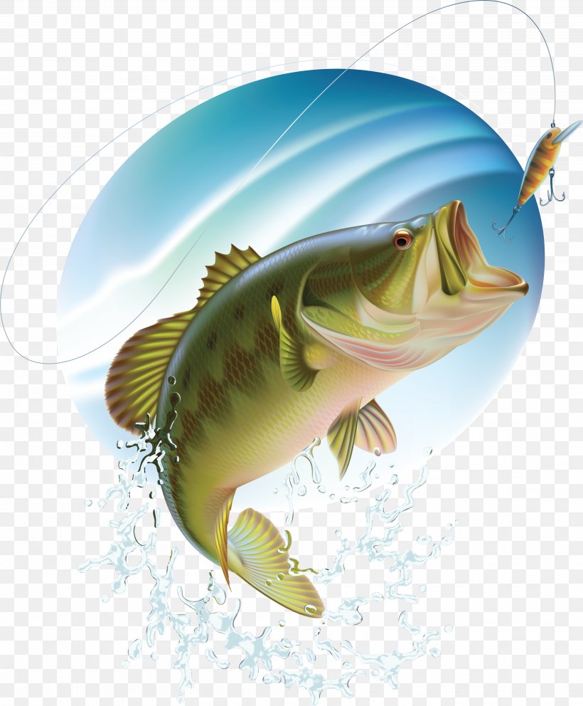 Largemouth Bass Bass Fishing, PNG, 3592x4346px, Largemouth Bass, Bass, Bass Fishing, Bony Fish, Fauna Download Free