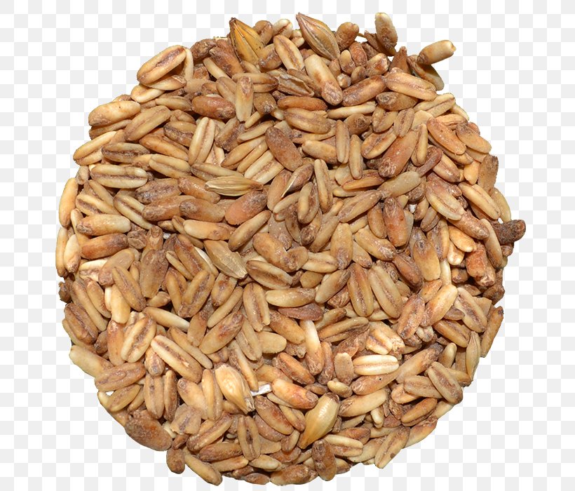 Oat Vegetarian Cuisine Emmer Spelt Sprouted Wheat, PNG, 700x700px, Oat, Avena, Cereal, Cereal Germ, Commodity Download Free